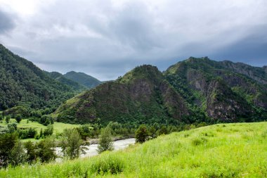Çam ormanlarıyla çevrili bir dağ vadisinde fırtınalı bir nehir.