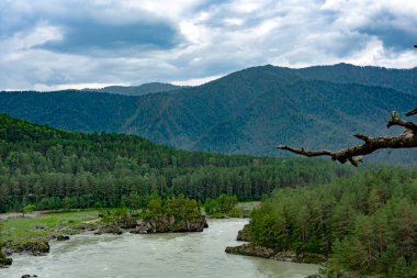 Geniş, huzursuz bir nehir, sularını dağ zirveleri arasında taşır. Yaz günü. Bulutlu hava.