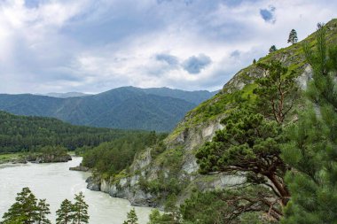 Geniş, huzursuz bir nehir, sularını dağ zirveleri arasında taşır. Yaz günü. Bulutlu hava.