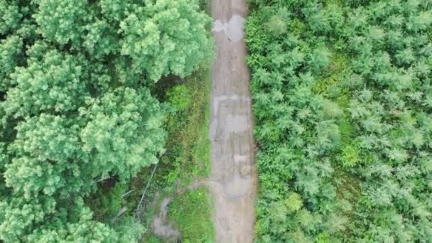 在被茂密的绿林环绕的泥泞道路上 空中俯冲而下 — 图库视频影像