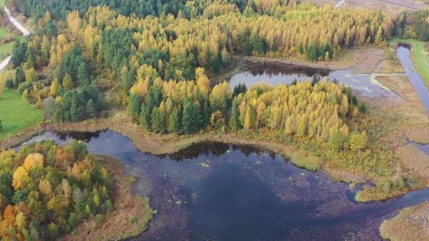 Luftaufnahme Des Fluges Über Gelben Und Grünen Herbstwald Und Dunklen — Stockvideo
