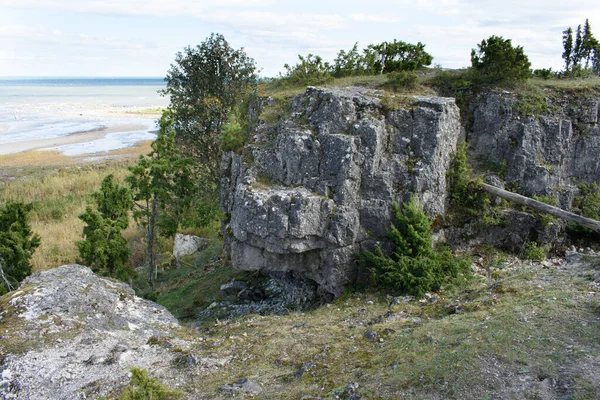 Uugu Cliff Dans Île Muhu Estonie Falaises Dolomite — Photo