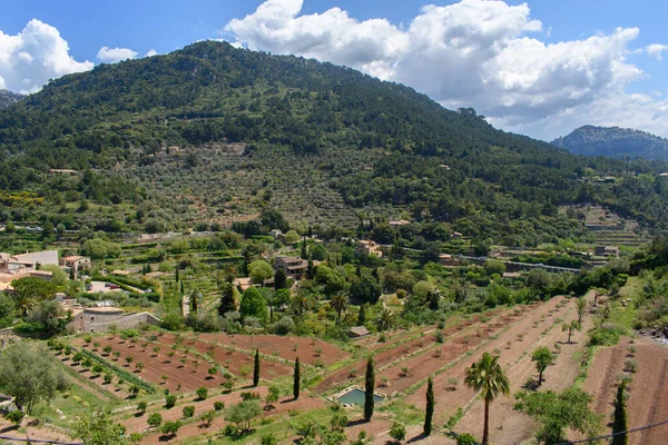 Blick Auf Berge Und Gärten Valldemossa Mallorca Spanien Dorf Tal — Stockfoto