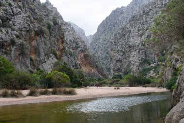 Sa Calobra Mallorca, İspanya 'daki Torrent de Pareis Kayalıkları