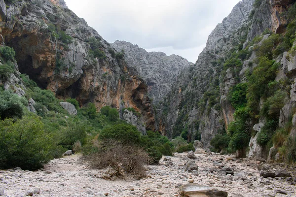 Sa Calobra Mallorca, İspanya 'daki Torrent de Pareis Kayalıkları