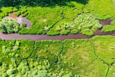 Bataklıktaki yeşil çimlerin ve suyun yukarıdan görünüşü