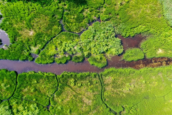 Aerial top down view of green grass and water in marsh wetland