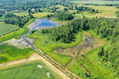 Aerial view of green overgrown lake surrounded with forest