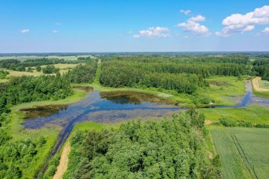 Aerial view of green overgrown lake surrounded with forest