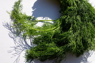 Beyaz arkaplana karşı Dill sürüsü