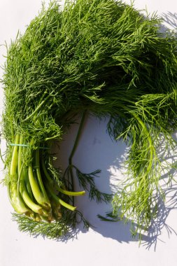 Beyaz arkaplana karşı Dill sürüsü