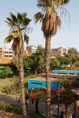 2015 yazında, Peru, Lima 'daki Parque de la Muralla.