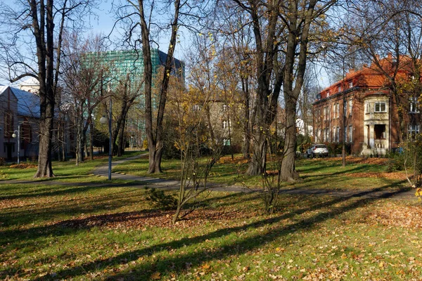 Katowice Kasım 2021 Şehir Merkezinde Küçük Bir Park Tarihi Binalar — Stok fotoğraf