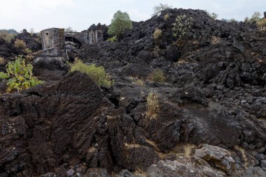Angahuan, Michoacan, Meksika dışındaki Paricutin volkanı tarafından yok edilen eski bir kilisenin kalıntıları..