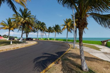 Chetumal 'daki rıhtım yolu, palmiye ağaçları ve Karayip Denizi manzaralı..