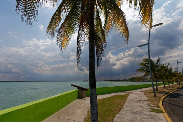 Chetumal海滨长廊 有一条路 棕榈树和加勒比海风光 — 图库照片