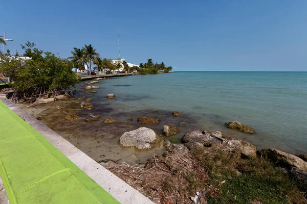 Chetumal 'daki rıhtım yolu, palmiye ağaçları ve Karayip Denizi manzaralı..