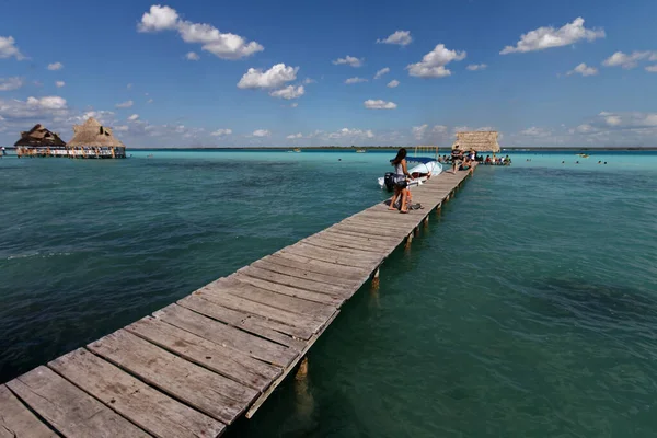 Laguna Bacalar México También Tejida Como Laguna Siete Colores —  Fotos de Stock