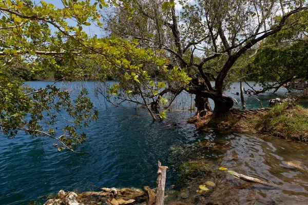 Cenote Azul Profundidad Bacalar México — Foto de Stock