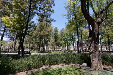 Alameda Central - Ciduad de Mexico şehir merkezine park et, Palacio de Bellas Artes 'in yanına..