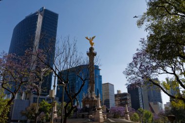 Avenida Paseo de reforma in downtown Mexico City, the main thoorughfare of the business district with lots of office buildings.