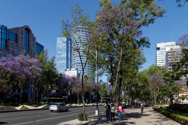 Mexico City şehir merkezindeki Avenida Paseo de Reforma, bir çok ofis binasının bulunduğu iş yerinin ana mekanı..