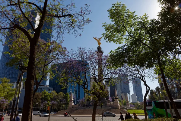 Mexico City şehir merkezindeki Avenida Paseo de Reforma, bir çok ofis binasının bulunduğu iş yerinin ana mekanı..