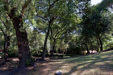 Bosque de Chapultepec, Mexico City 'deki en popüler şehir parkı.