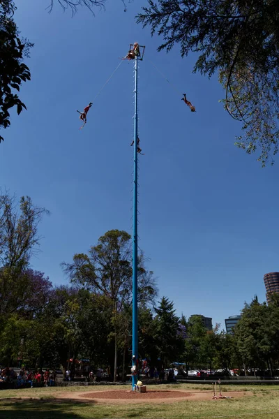 Voladores Papantla Troupe Acrobatica Volantini Polari Nel Bosque Chapultepec — Foto Stock