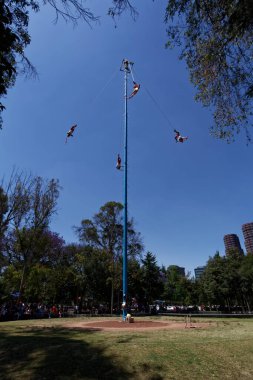 Voladores de Papantla Akrobatik Kumpanyası Bosque de Chapultepec 'te 