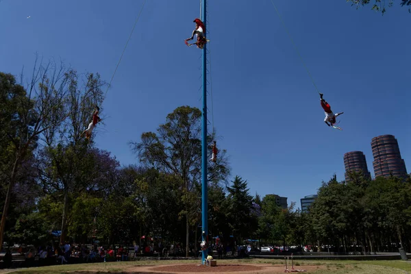 Voladores Papantla Troupe Acrobatica Volantini Polari Nel Bosque Chapultepec — Foto Stock