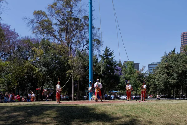 Voladores Papantla Troupe Acrobatica Volantini Polari Nel Bosque Chapultepec — Foto Stock