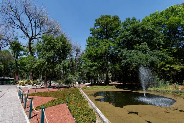 Bosque Chapultepec Mexikóváros Legnépszerűbb Városi Parkja — Stock Fotó