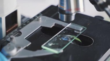 Mikroskop araştırma laboratuvarı asistanı araştırması