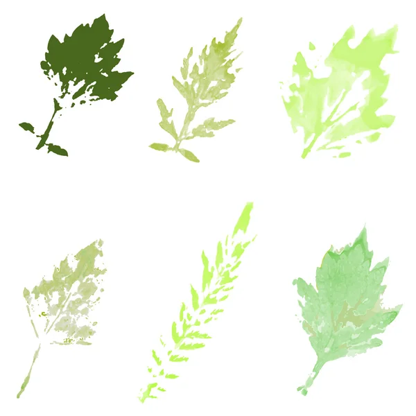 Set of watercolor leaves — Stock Vector