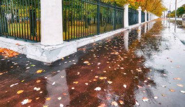 Karanlık, ıslak asfalt yolu ve Moskova parkında kötü sonbahar akşamında ağaçların yansıması olan altın akçaağaç yolu.