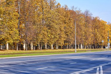 Moskova 'nın sonbahar caddelerinde parktaki Altın Akçaağaç Sokağı