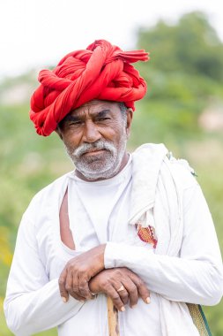 Jawai, Rajasthan, Hindistan - Eylül 2021: Jawai sahasında, ulusal başlık ve geleneksel beyaz elbise ve kırmızı sarıklı Rabari etnik grubunun yaşlı bir adamının portresi.