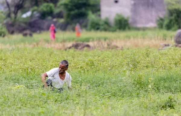 Rajasthan Indie Září 2021 Lidé Pracující Poli Venkově — Stock fotografie