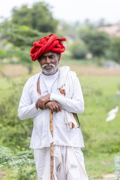 Jawai, Rajasthan, Hindistan - Eylül 2021: Jawai sahasında, ulusal başlık ve geleneksel beyaz elbise ve kırmızı sarıklı Rabari etnik grubunun yaşlı bir adamının portresi.