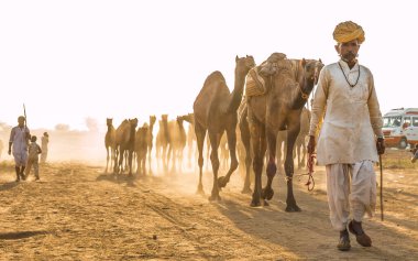 PUSHKAR, RAJASTHAN / INDIA - Kasım 2019: Pushkar fuarında develerin ve tüccarların panayırda portresi