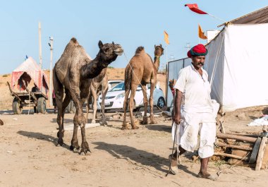 Puşkar, Rajasthan, Hindistan - Ekim 2017 - Pushkar Deve Fuarı 'nda yerel halk, deve tüccarları ve develer