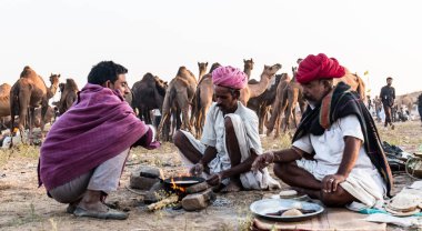 PUSHKAR, RAJASTHAN / INDIA - Kasım 2019: Pushkar fuarında tüccarlarıyla birlikte develer