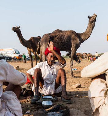 PUSHKAR, RAJASTHAN / INDIA - Kasım 2019: Pushkar fuarında tüccarlarıyla birlikte develer