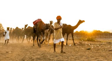 PUSHKAR, RAJASTHAN / INDIA - Kasım 2019: Pushkar fuarında develerin ve tüccarların panayırda portresi