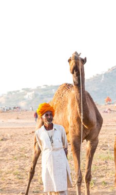 PUSHKAR, RAJASTHAN / INDIA - Kasım 2019: Pushkar fuarında tüccarlarıyla birlikte develer