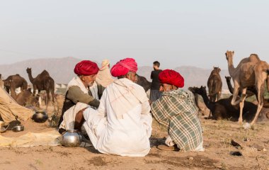 Puşkar, Rajasthan, Hindistan - Ekim 2017 - Pushkar Deve Fuarı 'nda yerel halk, deve tüccarları ve develer