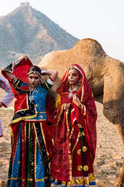 PUSHKAR, RAJASTHAN / INDIA - Kasım 2019: Pushkar fuarında tüccarlarıyla birlikte develer