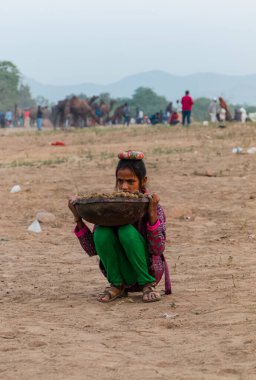 Puşkar, Rajasthan, Hindistan - Ekim 2017 - Pushkar Deve Fuarı 'nda yerel halk, deve tüccarları ve develer