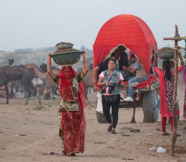 PUSHKAR, RAJASTHAN / INDIA - Kasım 2019: Pushkar fuarında tüccarlarıyla birlikte develer